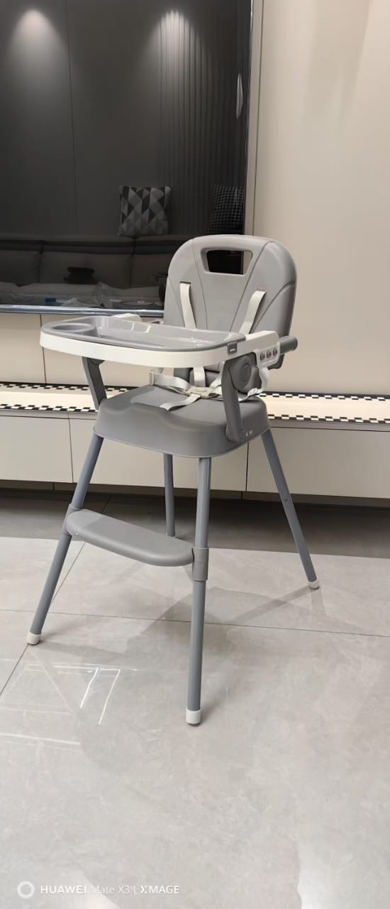2 in 1 Feeding Chair
